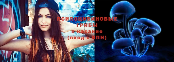 соль курить ск Богородск
