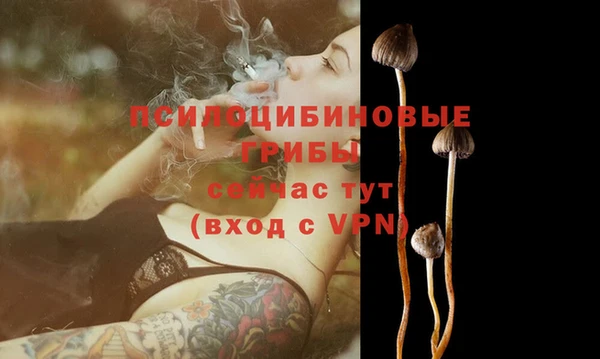 mix Богородицк