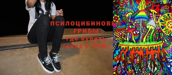 mix Богородицк