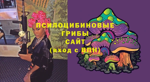 mix Богородицк