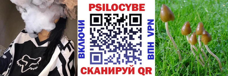 Галлюциногенные грибы Magic Shrooms  Купить закладки  Петров Вал 